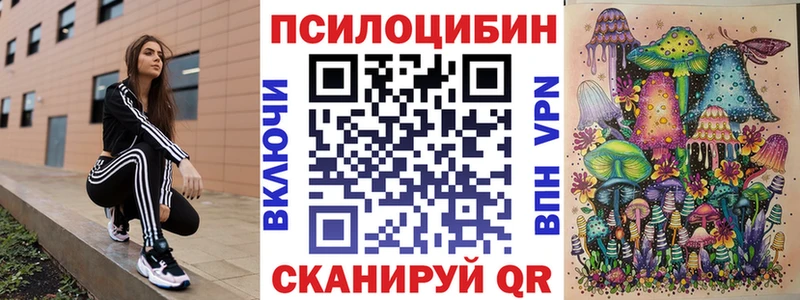 Псилоцибиновые грибы мухоморы продажа наркотиков ОМГ ОМГ ссылка Салаир